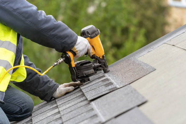 Best Roof Leak Repair  in Green Forest, AR